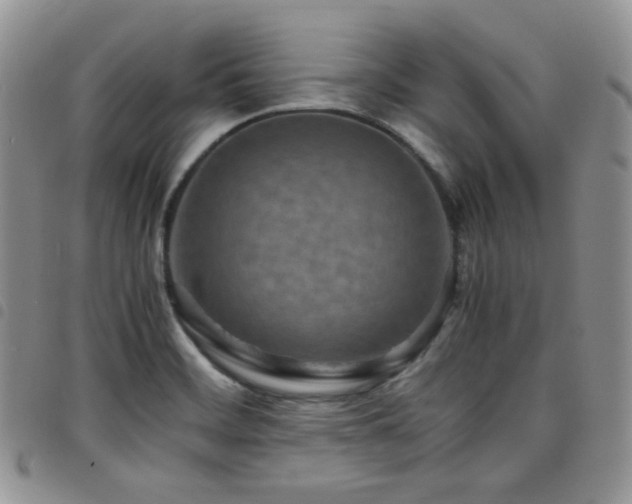 X0000098221468200804241333