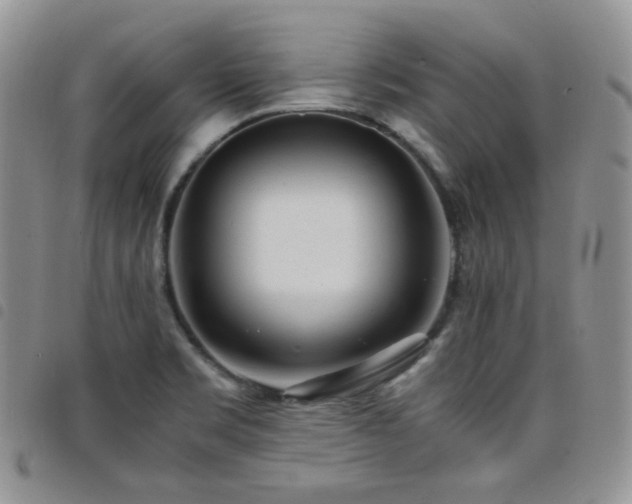X0000098221469200804241333