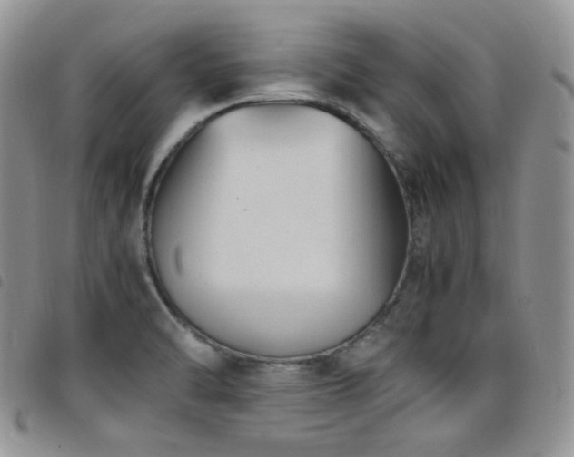 X0000098221470200804241333