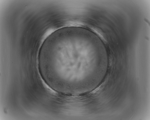X0000098221471200804241333