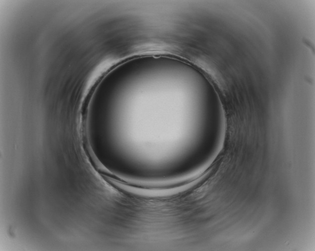 X0000098221472200804241333