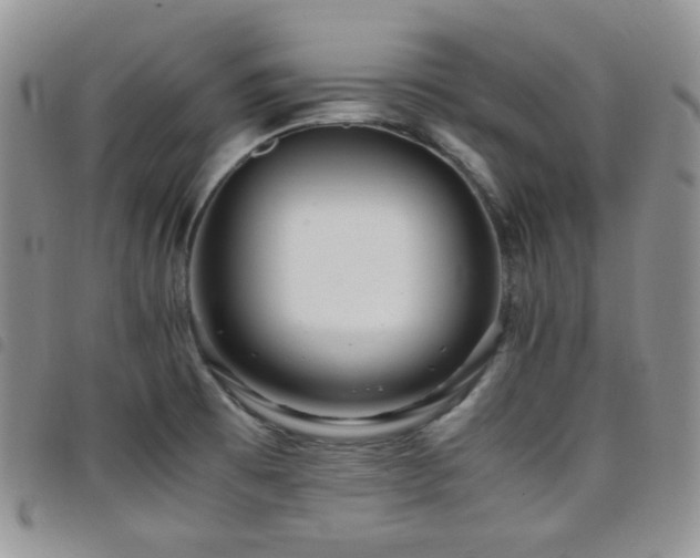 X0000098221473200804241333