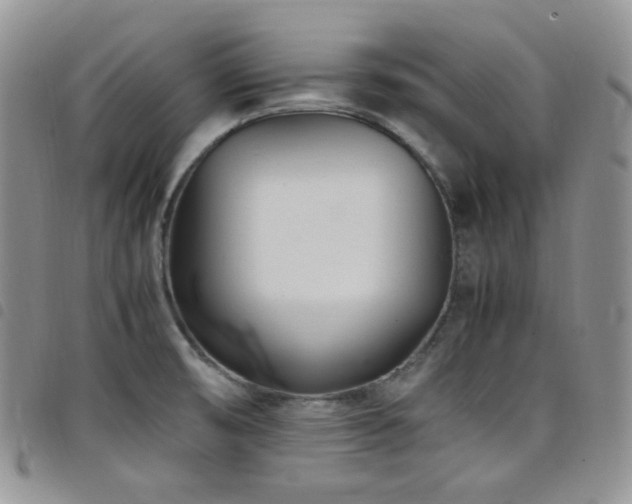X0000098221474200804241333