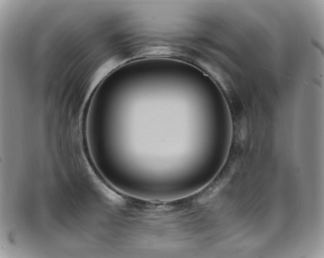 X0000098221475200804241333