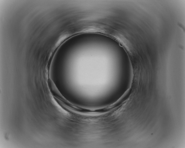 X0000098221476200804241333