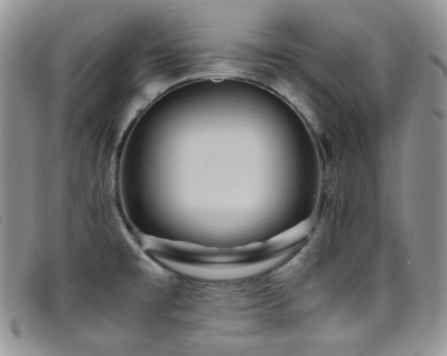 X0000098221477200804241333