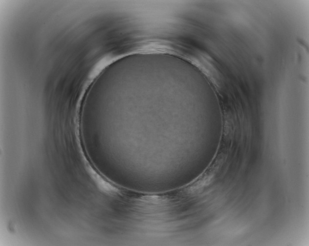 X0000098221478200804241333