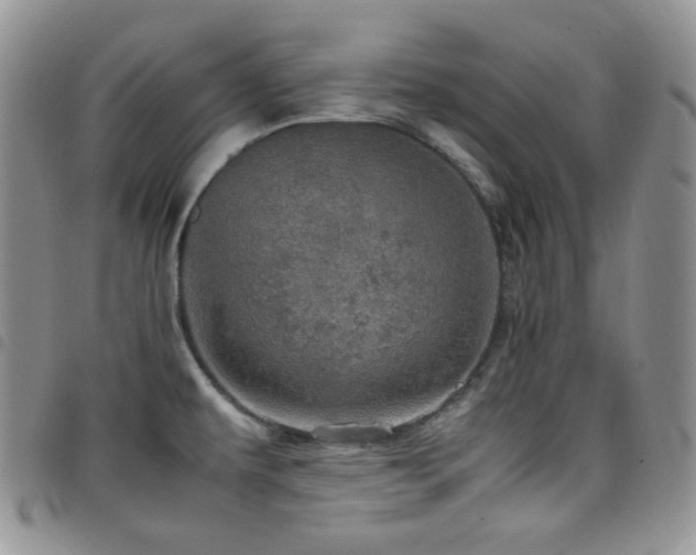 X0000098221479200804241333