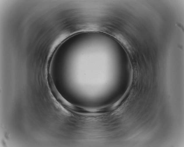 X0000098221480200804241333