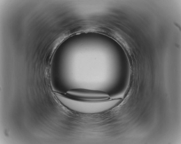 X0000098221481200804241332