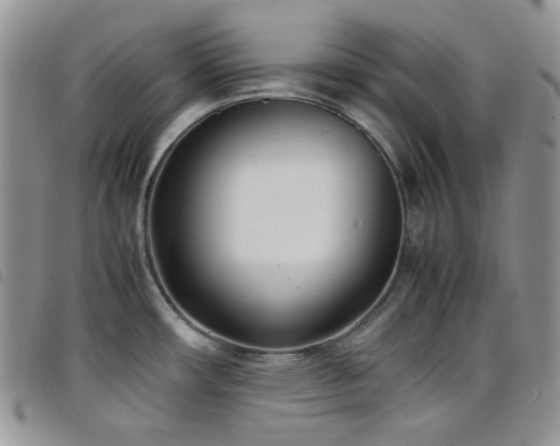 X0000098221482200804241332