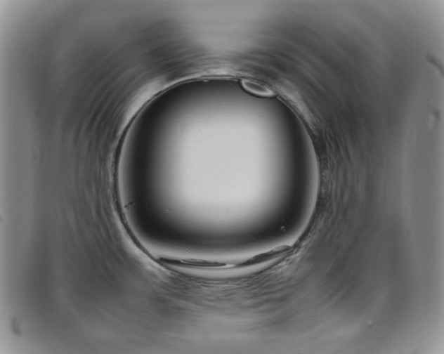 X0000098221483200804241332