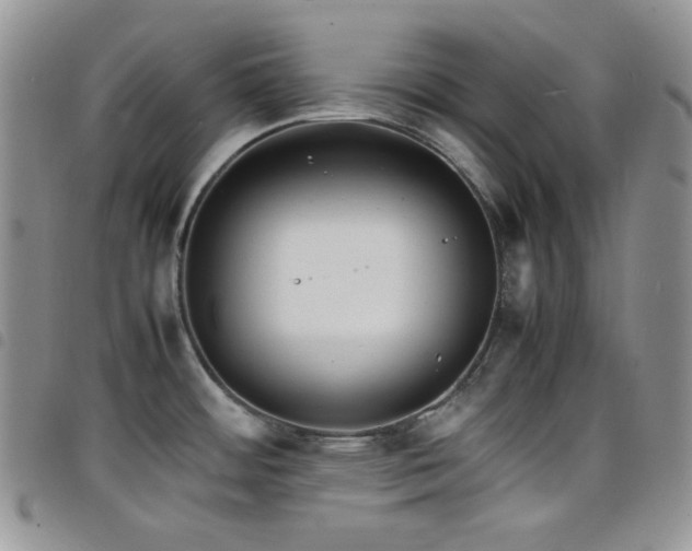 X0000098221484200804241332