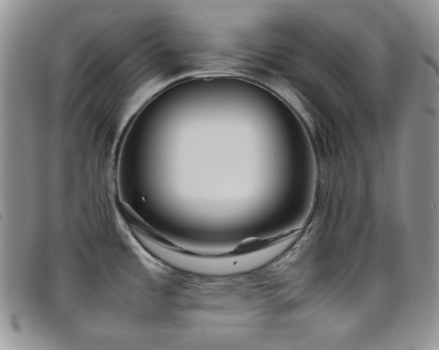 X0000098221485200804241332