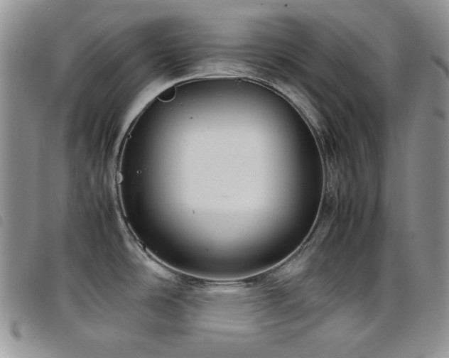 X0000098221486200804241332