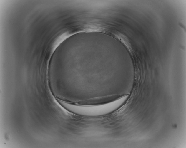 X0000098221487200804241332