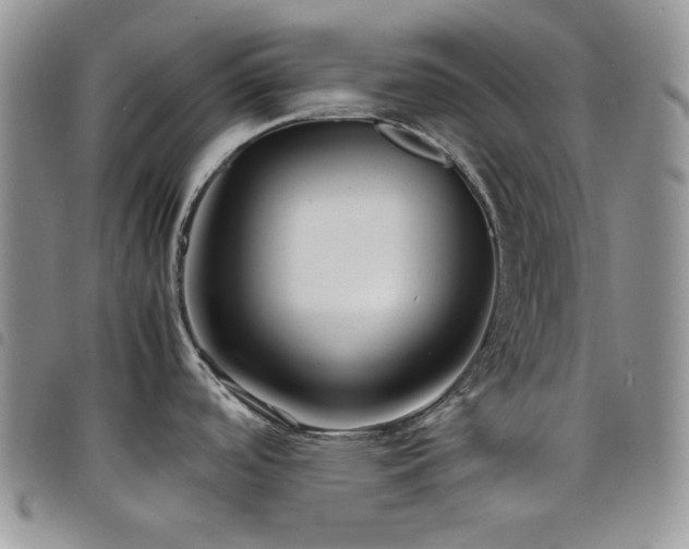 X0000098221488200804241332