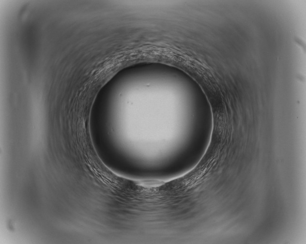 X0000098221489200804241332