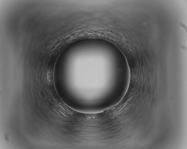 X0000098221490200804241332