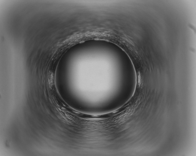 X0000098221492200804241332