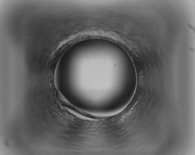 X0000098221494200804241332