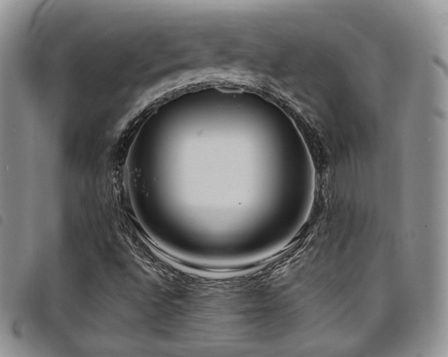 X0000098221496200804241332