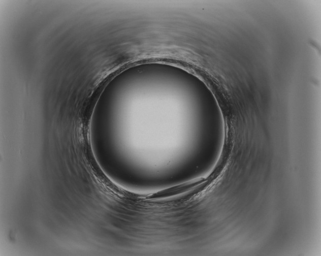 X0000098221497200804241332