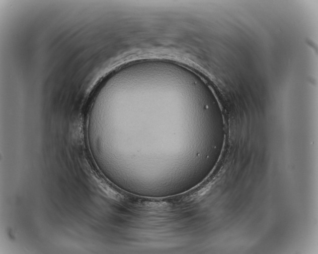 X0000098221498200804241332