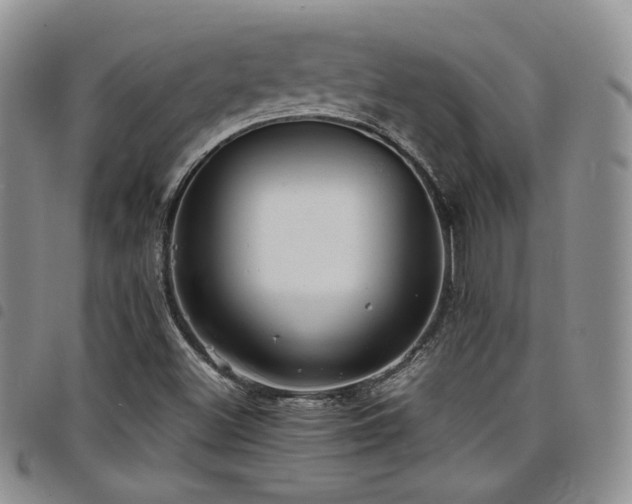 X0000098221500200804241332