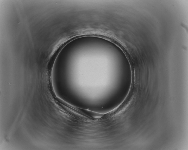 X0000098221501200804241332