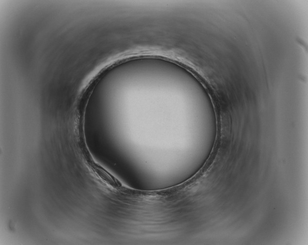 X0000098221502200804241332