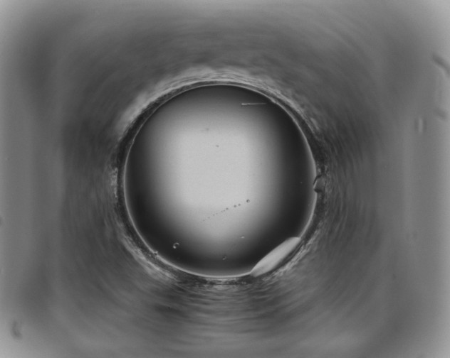 X0000098221503200804241332