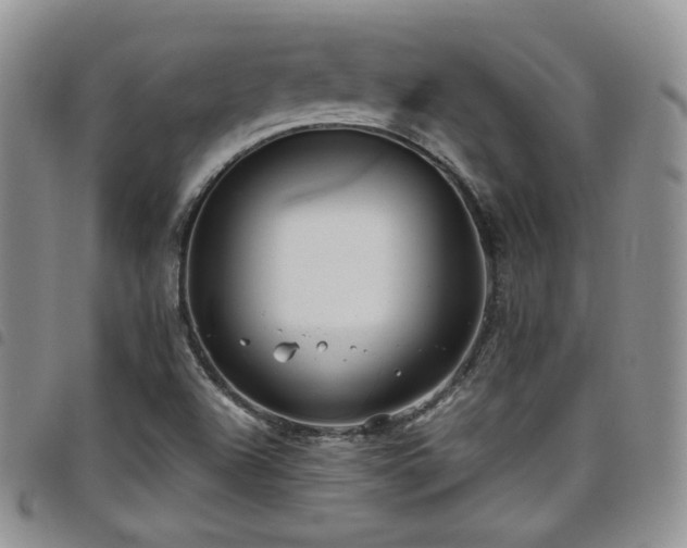 X0000098221504200804241332