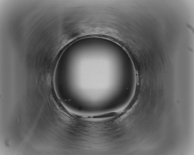 X0000098221505200804241332