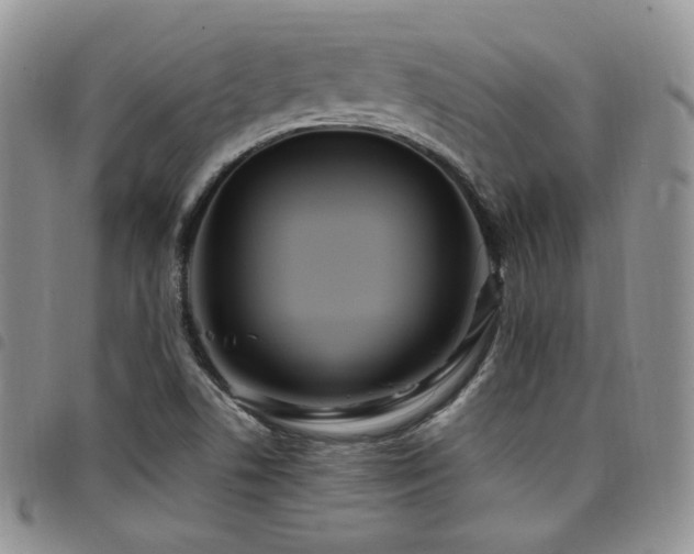X0000098221506200804241332