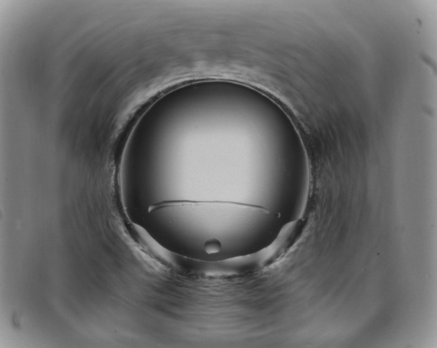 X0000098221507200804241332