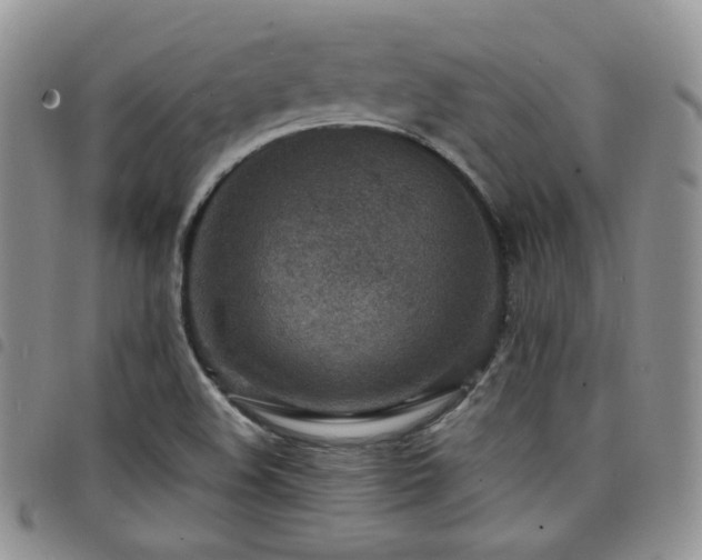 X0000098221508200804241332
