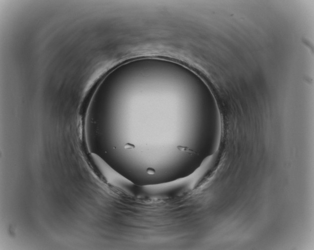 X0000098221509200804241332