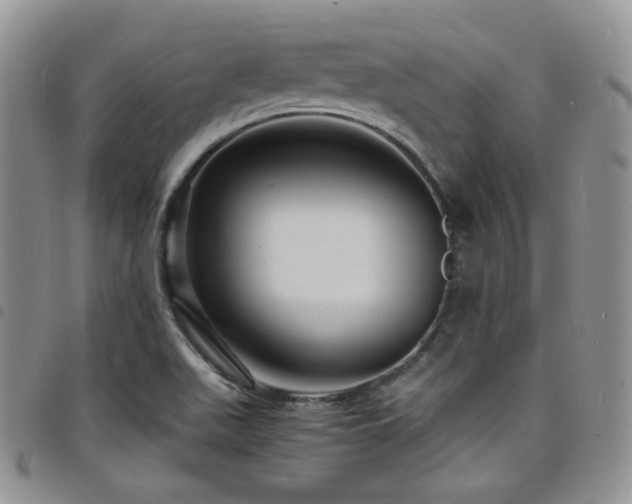 X0000098221511200804241332