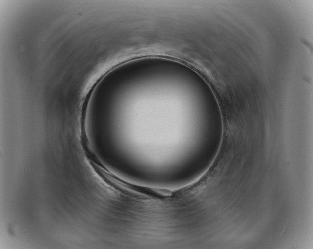 X0000098221512200804241332