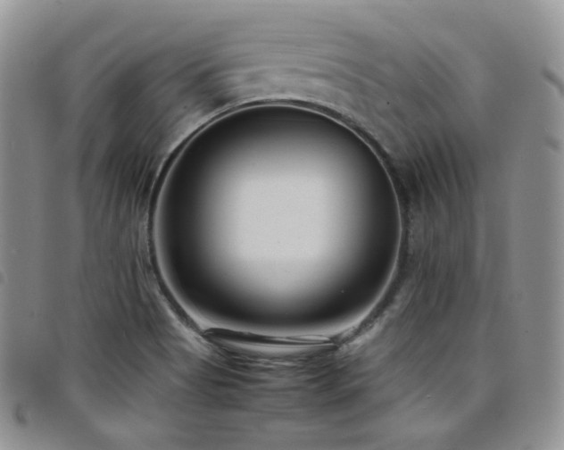 X0000098221513200804241332
