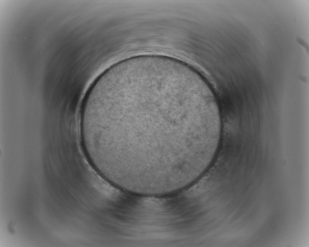 X0000098221514200804241332