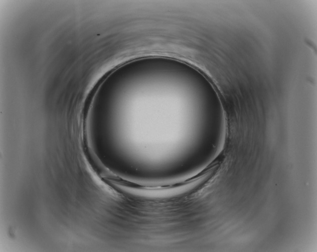 X0000098221515200804241332