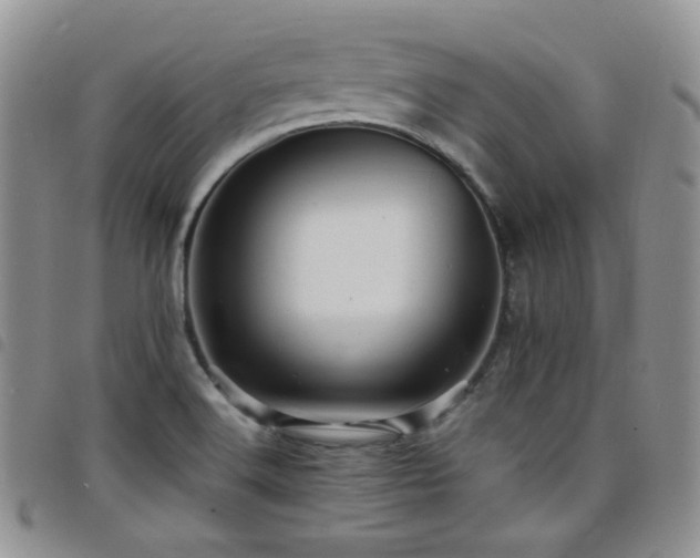X0000098221516200804241332
