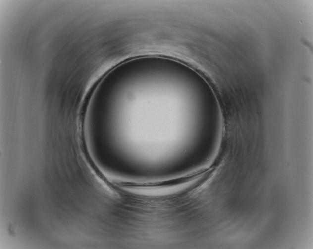 X0000098221517200804241332