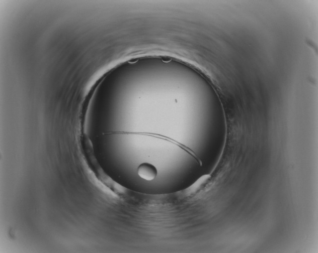 X0000098221518200804241332
