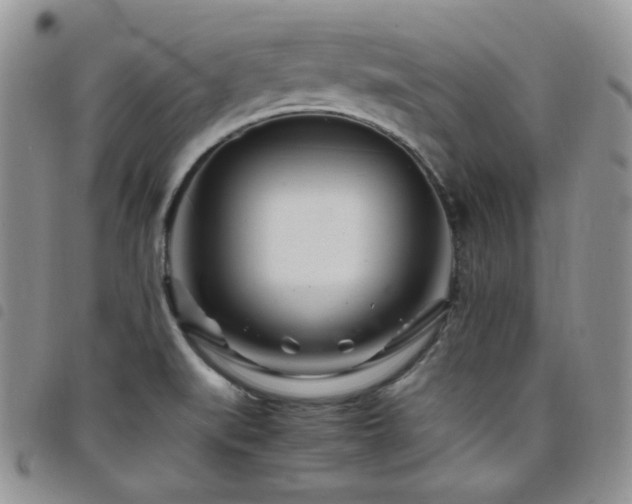 X0000098221519200804241332