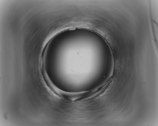 X0000098221520200804241332