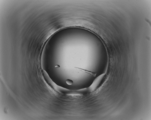 X0000098221521200804241332