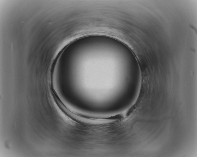 X0000098221523200804241332
